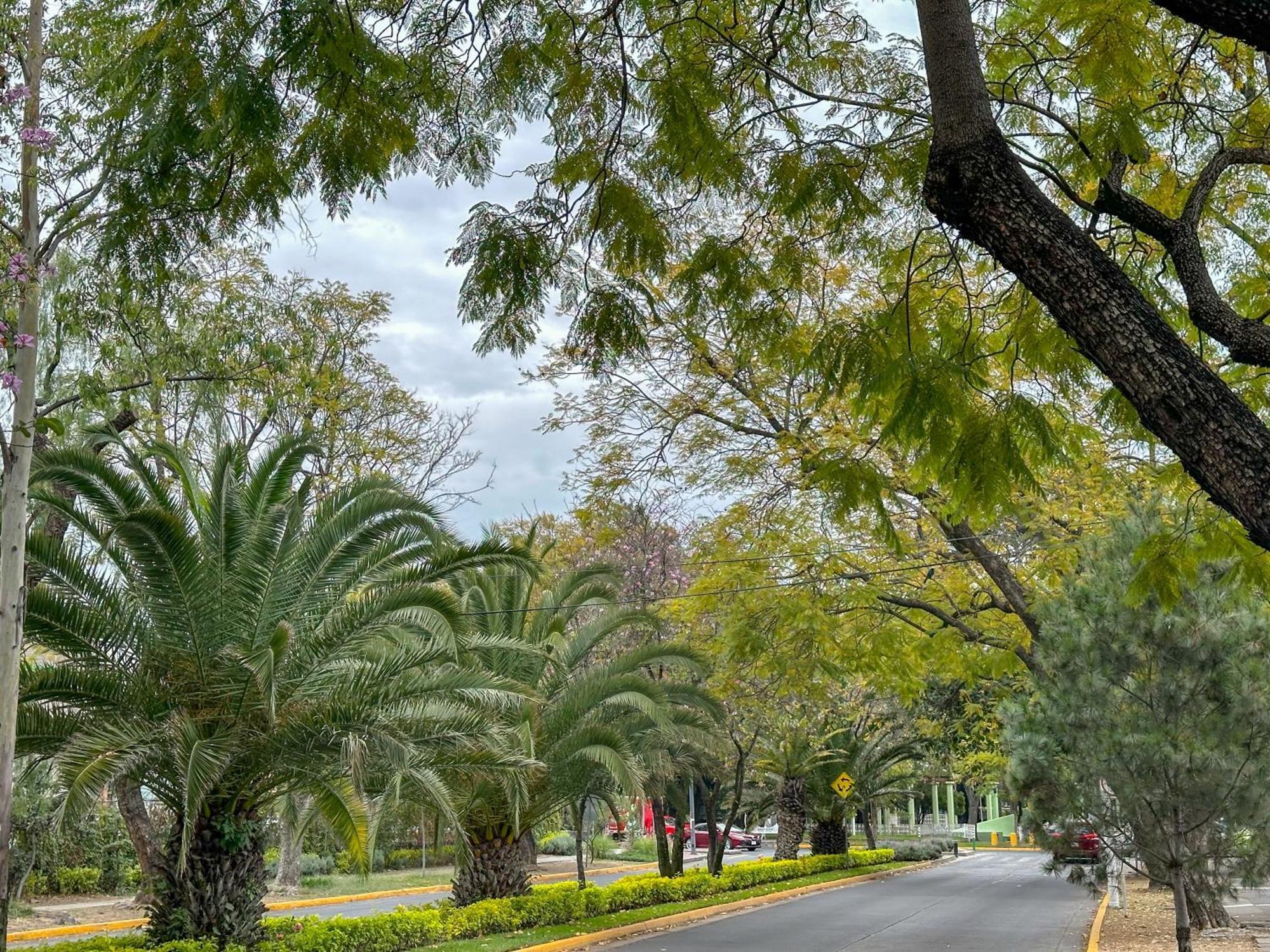 Suite Con Terraza En En El Corazon De Chapalita 11 과달라하라 외부 사진